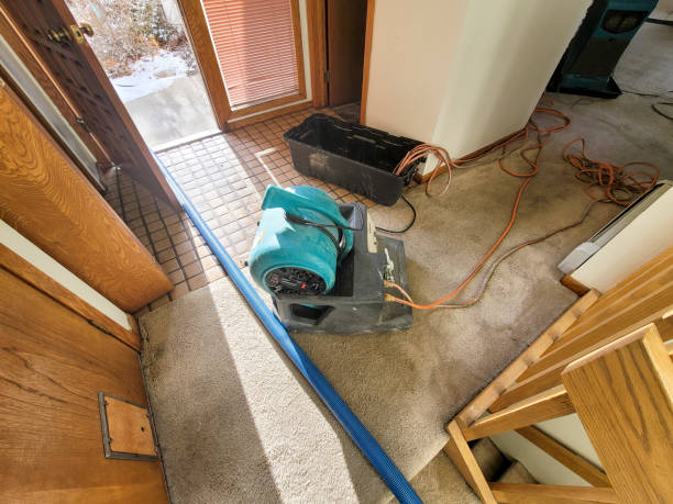 Water damage restoration experts in Elkton, MD