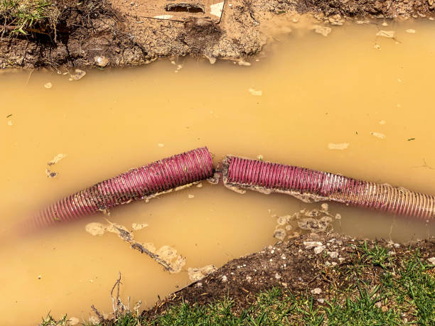 Best Residential water damage restoration  in Elkton, MD