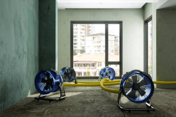 Best Ceiling water damage repair  in Elkton, MD