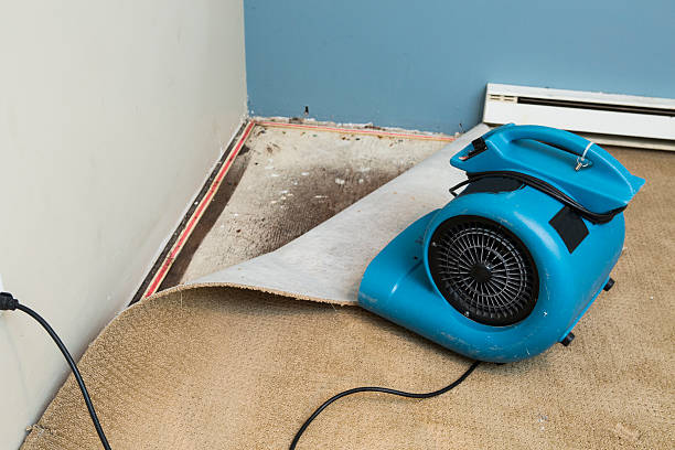 Best Water damage restoration near me  in Elkton, MD